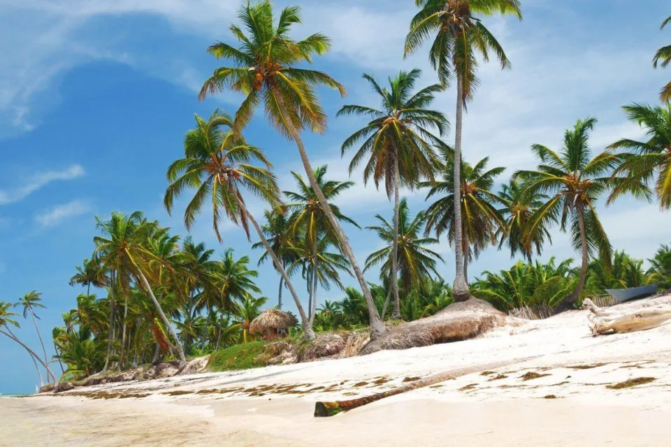 dominikana plaże