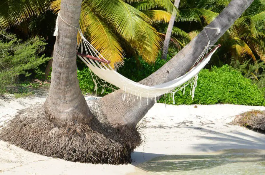 dominikana plaże hamak na palmie