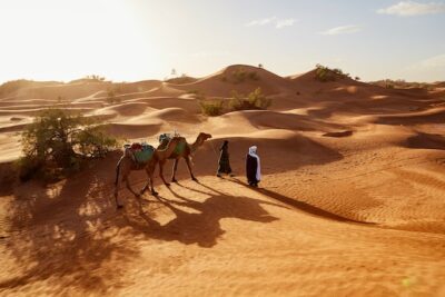 Marrakesz wycieczka po pustyni na wielbłądach