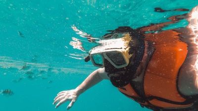 Tumbatu island snorkeling bilety