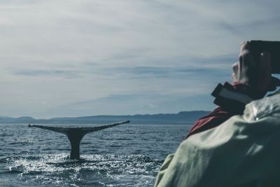 Fuerteventura atrakcje - obserwacja wielorybów