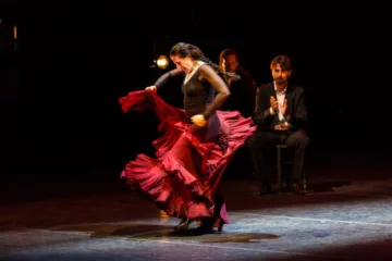 flamenco sewilla